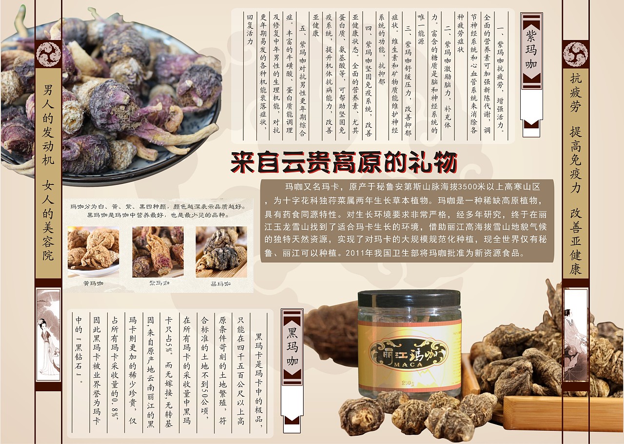 保健品 玛咖 药材 中式 中国风海报宣传册