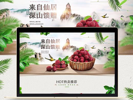 仙居杨梅水果专题 DESIGN