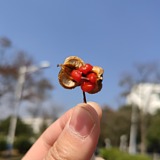 刘大宝ya的头像