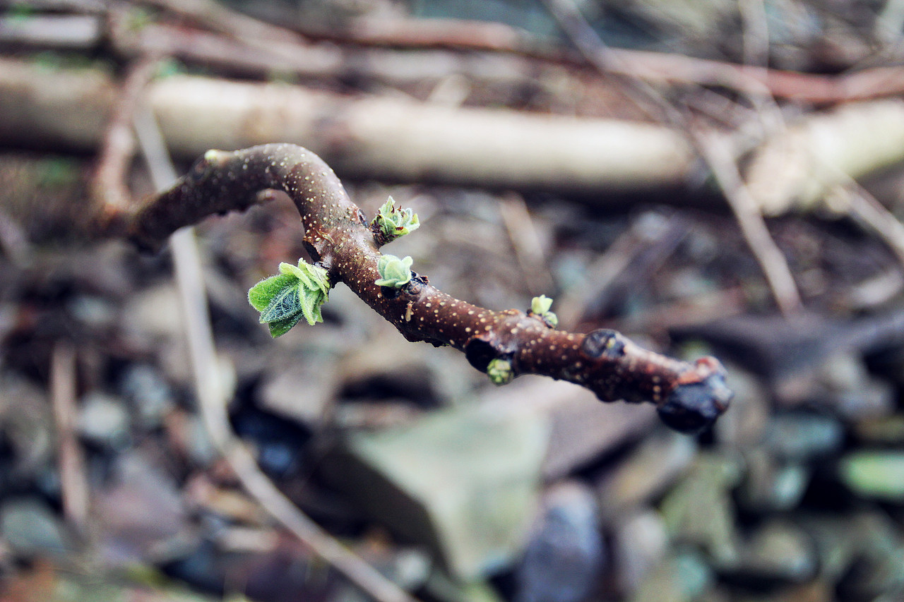 小舟垟草木录（图ZOTg3NDU2MTI=） - 风光摄影 - 站酷设计师那九原创素材 - 站酷ZCOOL