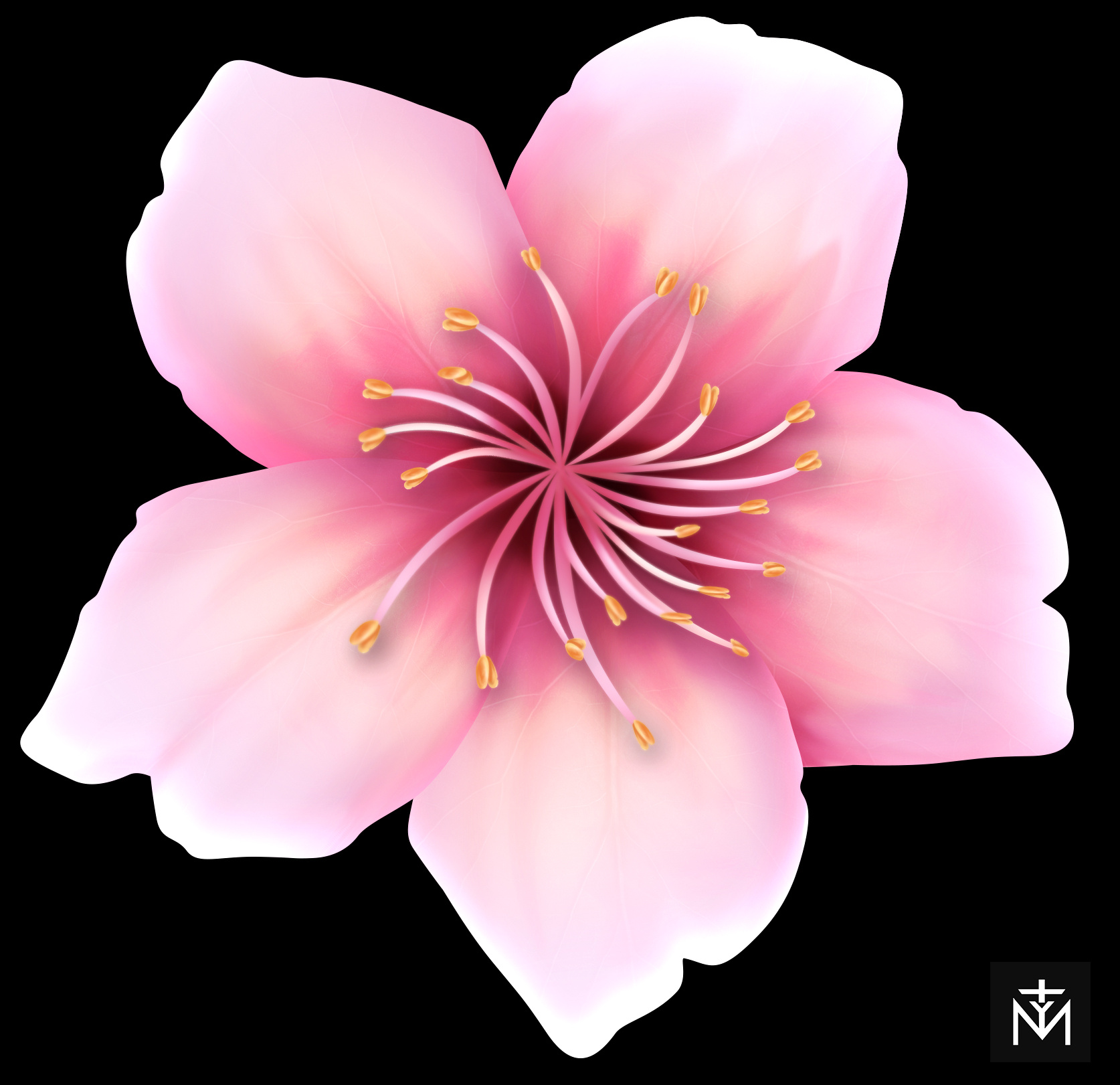 ps桃花绘制(附教程和psd)