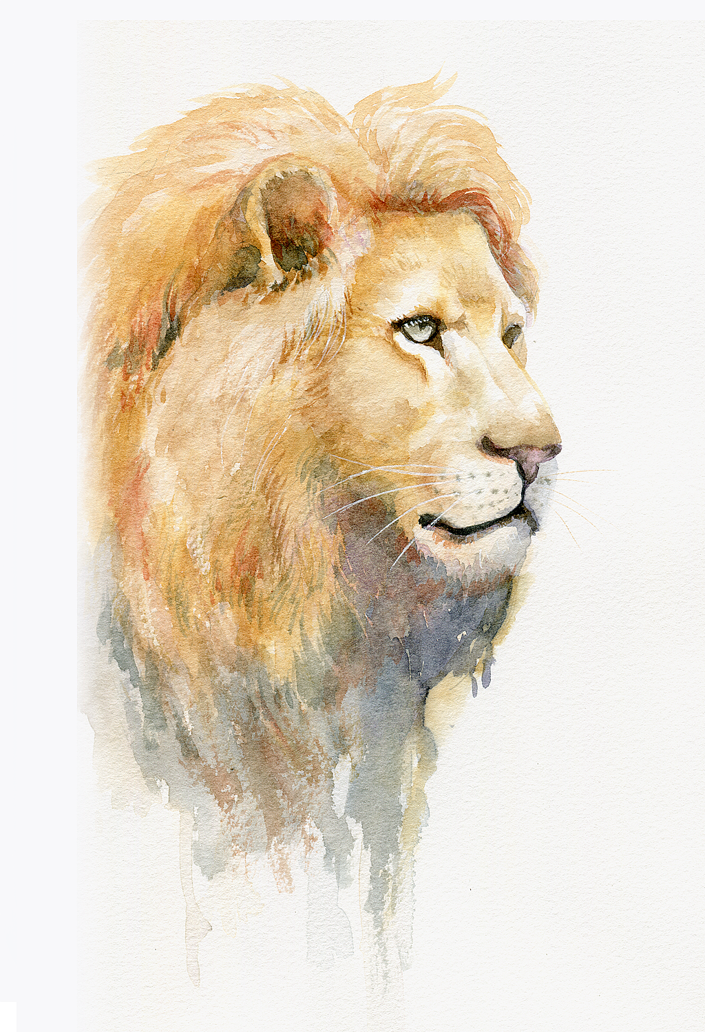 水彩练习（图ZMzQ0MTEzNjg=） - 创作习作 - 站酷设计师风暴云原创素材 - 站酷ZCOOL