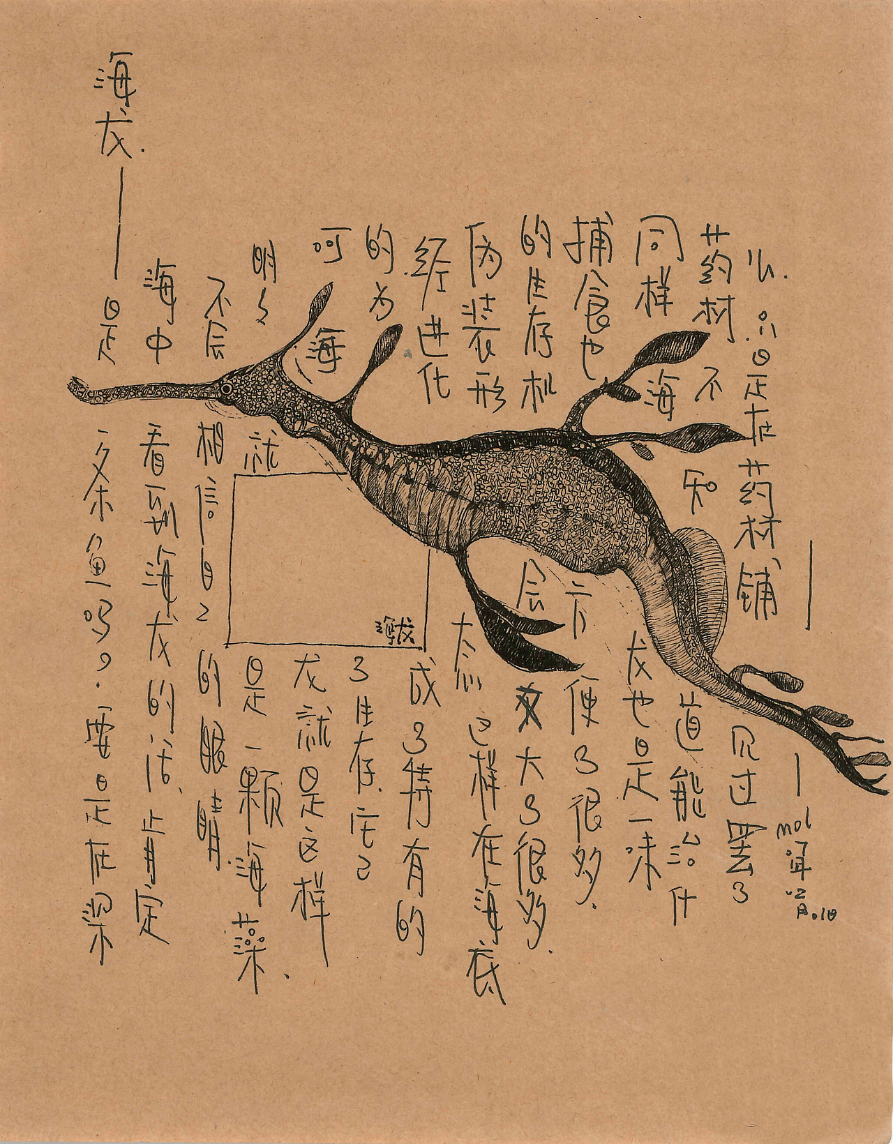 这个关于海鲜的插画手稿（终）（图ZMTM2ODEwOTgw） - 创作习作 - 站酷设计师daimol原创素材 - 站酷ZCOOL