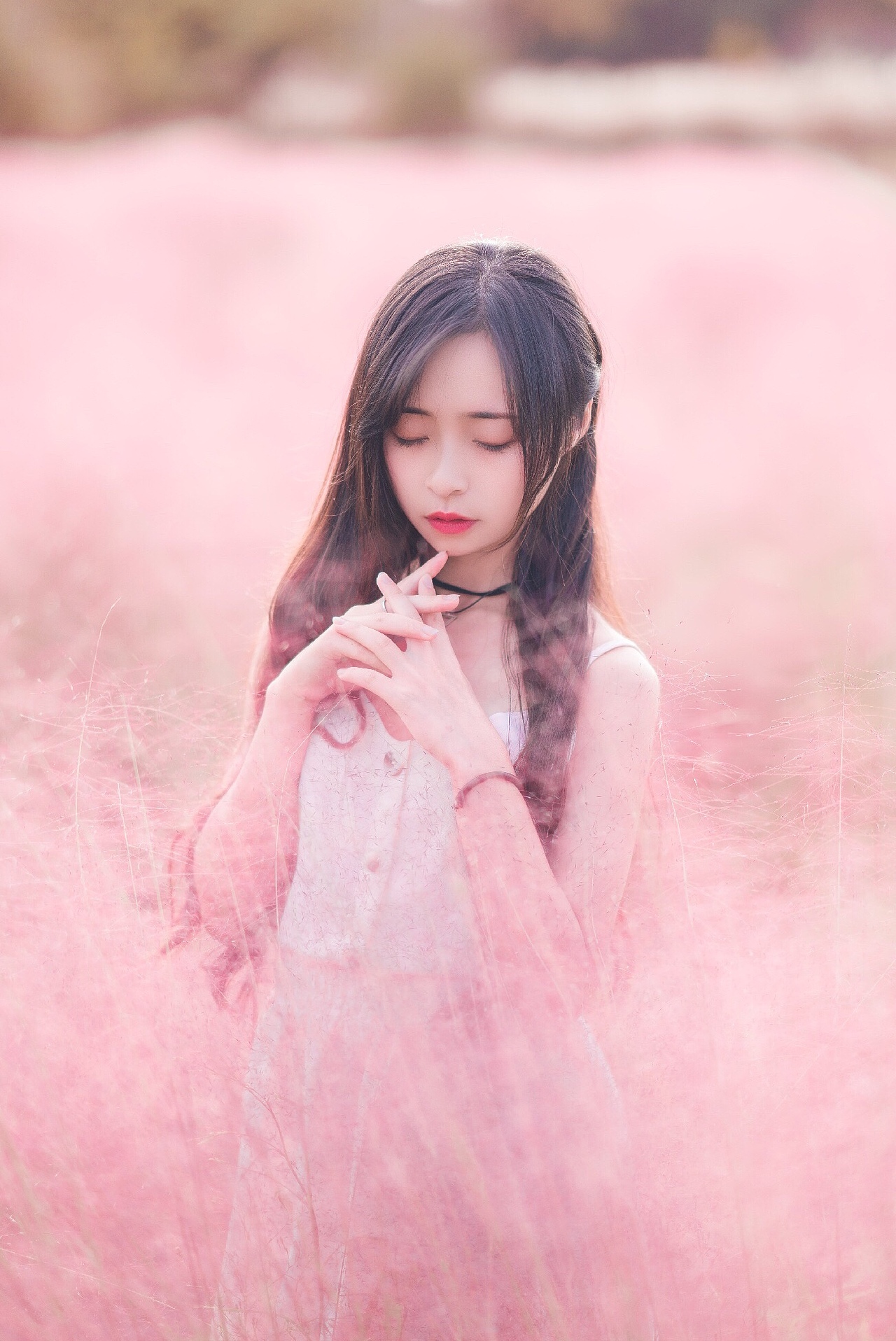 粉黛乱子草|摄影|人像摄影|z15860233_原创作品-站酷zcool