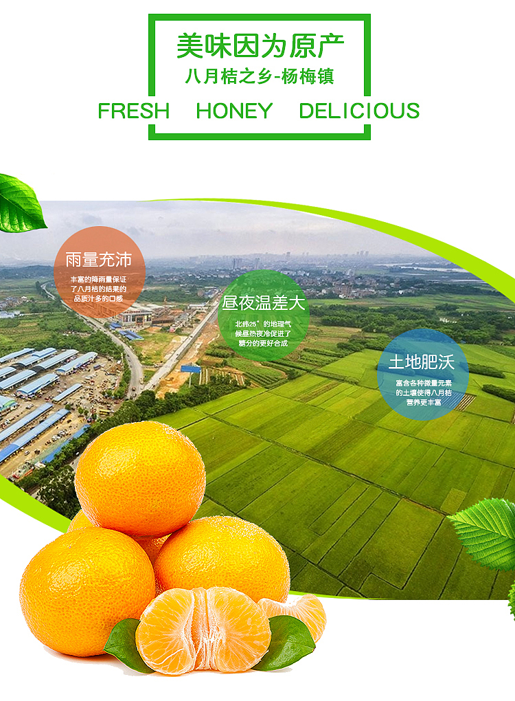 八月桔 桔子详情设计（图ZNjM1MDk4MTY=） - 运营设计 - 站酷设计师SugarNO1原创素材 - 站酷ZCOOL