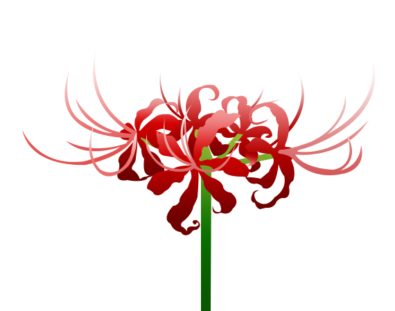 曼珠沙华的花朵符号图片