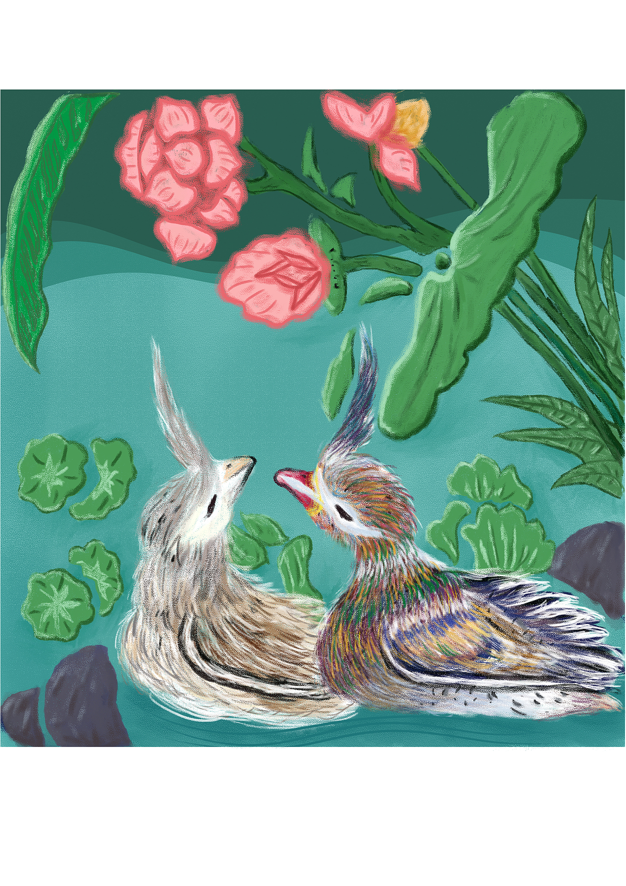 鸳鸯戏水|插画|创作习作|maoyoam_原创作品-站酷zcool