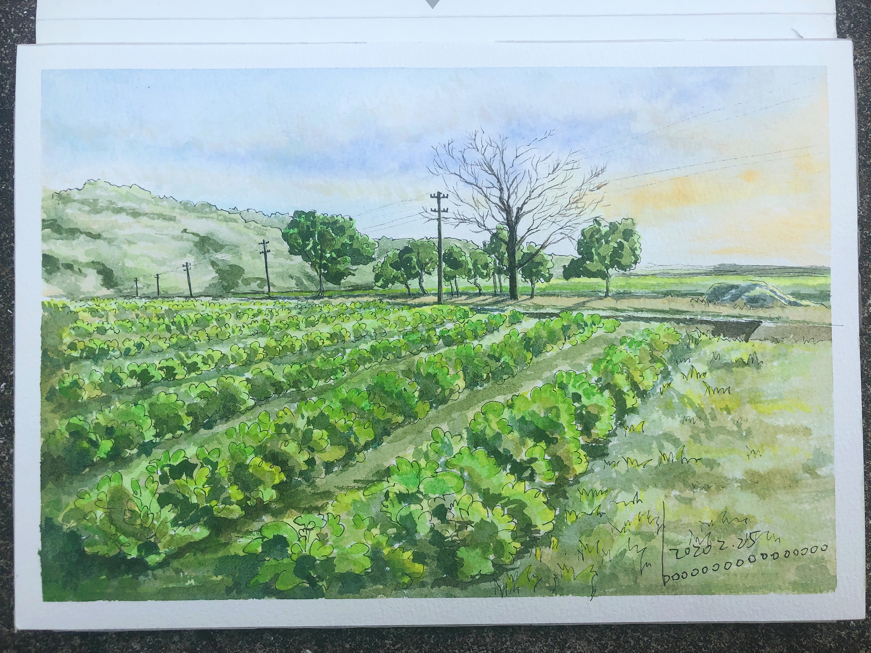 清晨里的田间地头 水彩|纯艺术|绘画|嗨皮视觉 - 原创作品 - 站酷