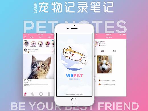宠物APP