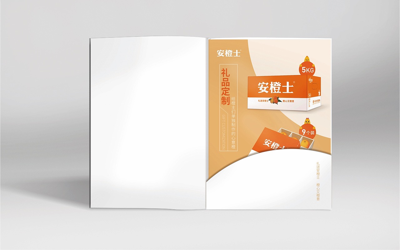 品牌物料 | 安橙士品牌画册（图ZMTQyNTY3NTQ0） - 书籍/画册 - 站酷设计师天鹏_TP原创素材 - 站酷ZCOOL