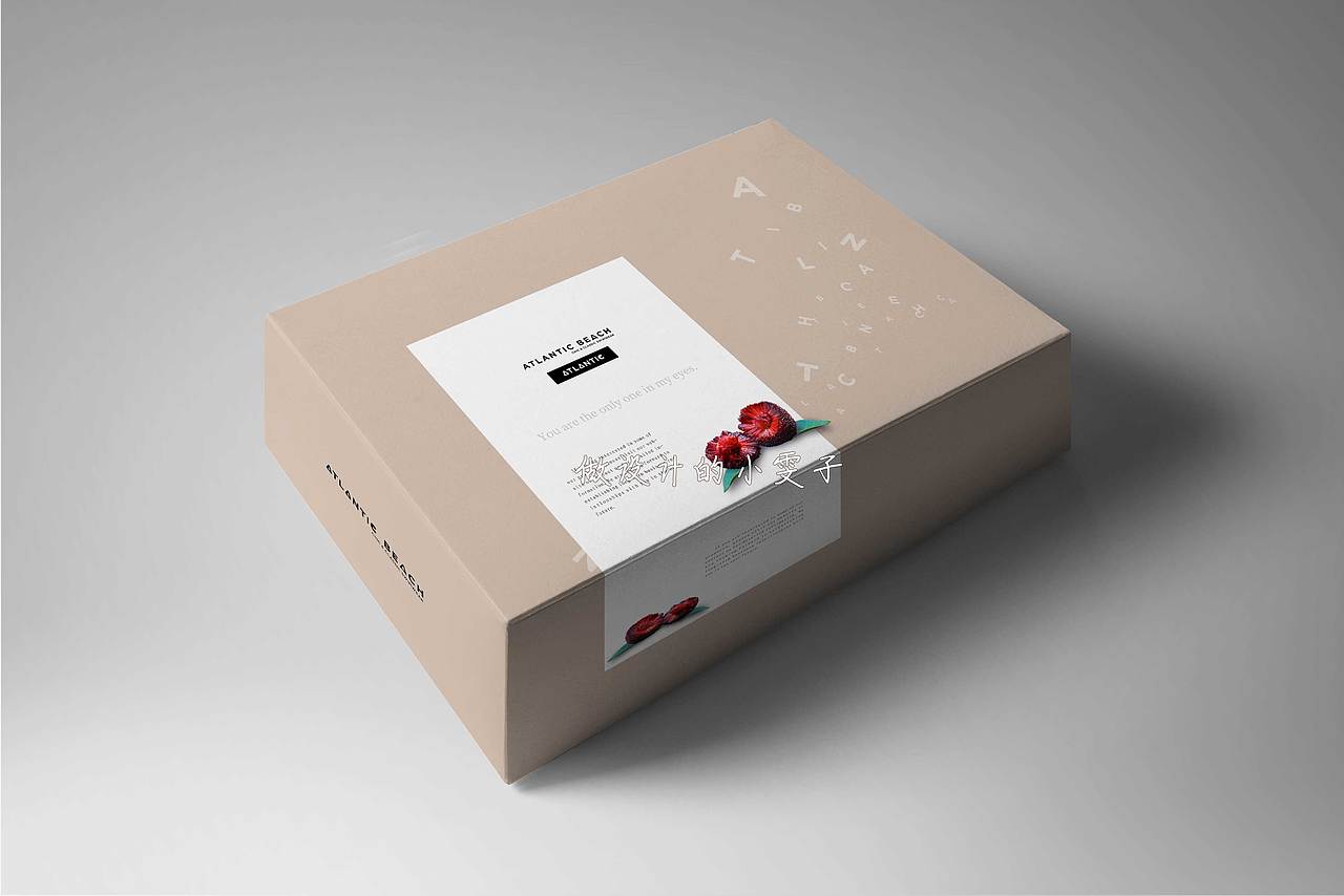 杨梅小姐姐的包装（图ZMTYxMzE0Njg0） - 包装 - 站酷设计师WeldaWang原创素材 - 站酷ZCOOL