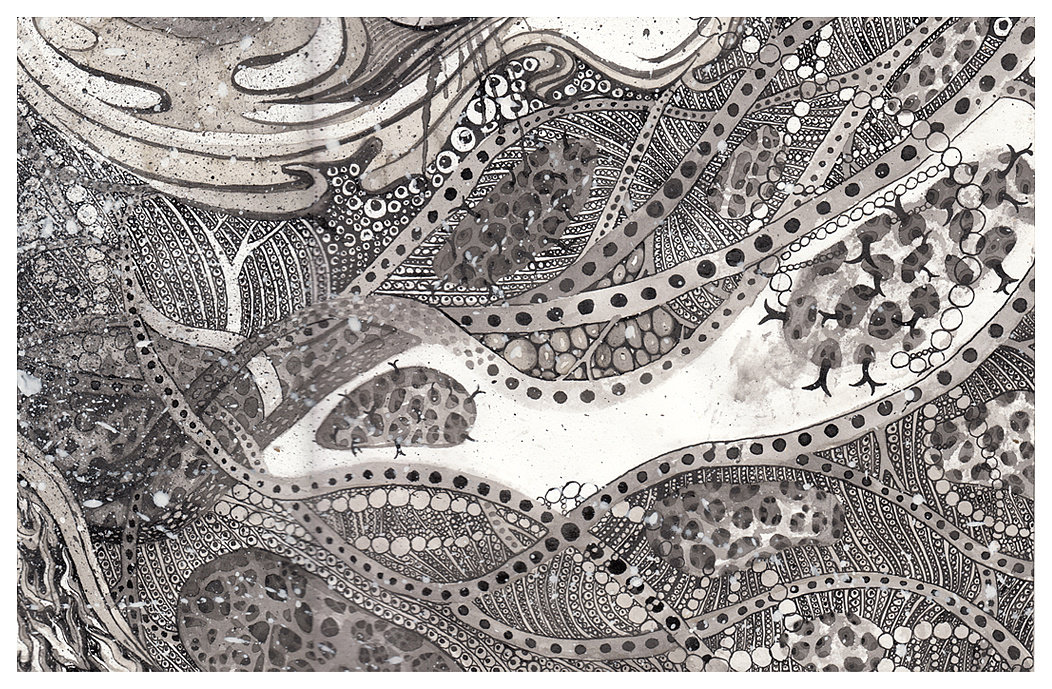 五行四象图《临界生命力》