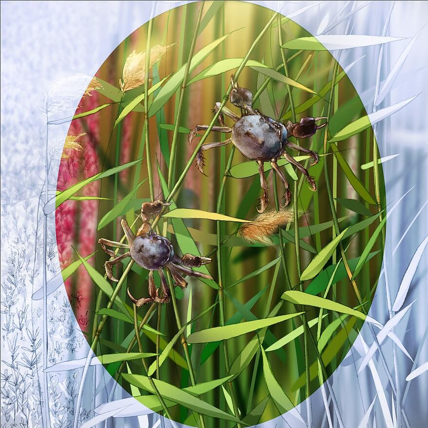 紅海灘之圓境印象（圖ZODI0MDQxMTY=） - 藝術(shù)插畫 - 站酷設(shè)計師米果migour原創(chuàng)素材 - 站酷ZCOOL