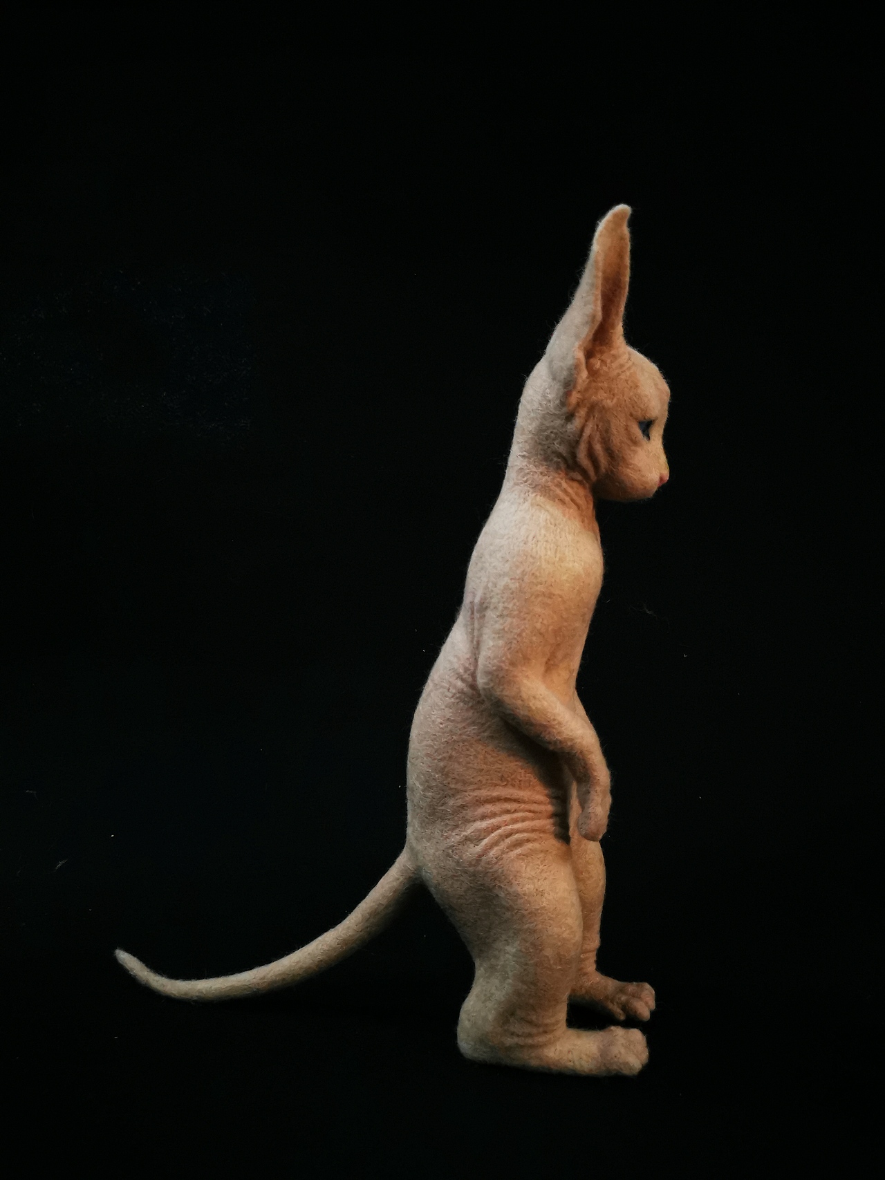 羊毛毡作品 | 无毛猫（图ZMjM0NjgwMDYw） - 其他手工艺 - 站酷设计师小晓婷儿原创素材 - 站酷ZCOOL