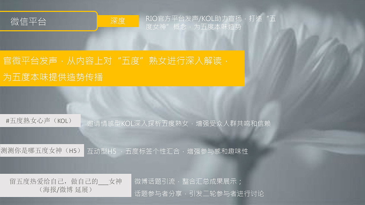 RIO创意营销策划案