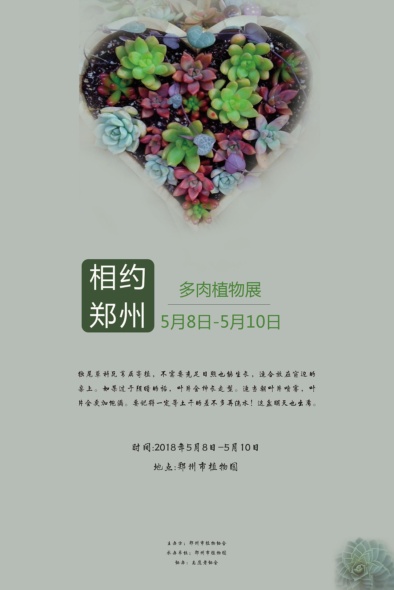 绿植-多肉-展览海报