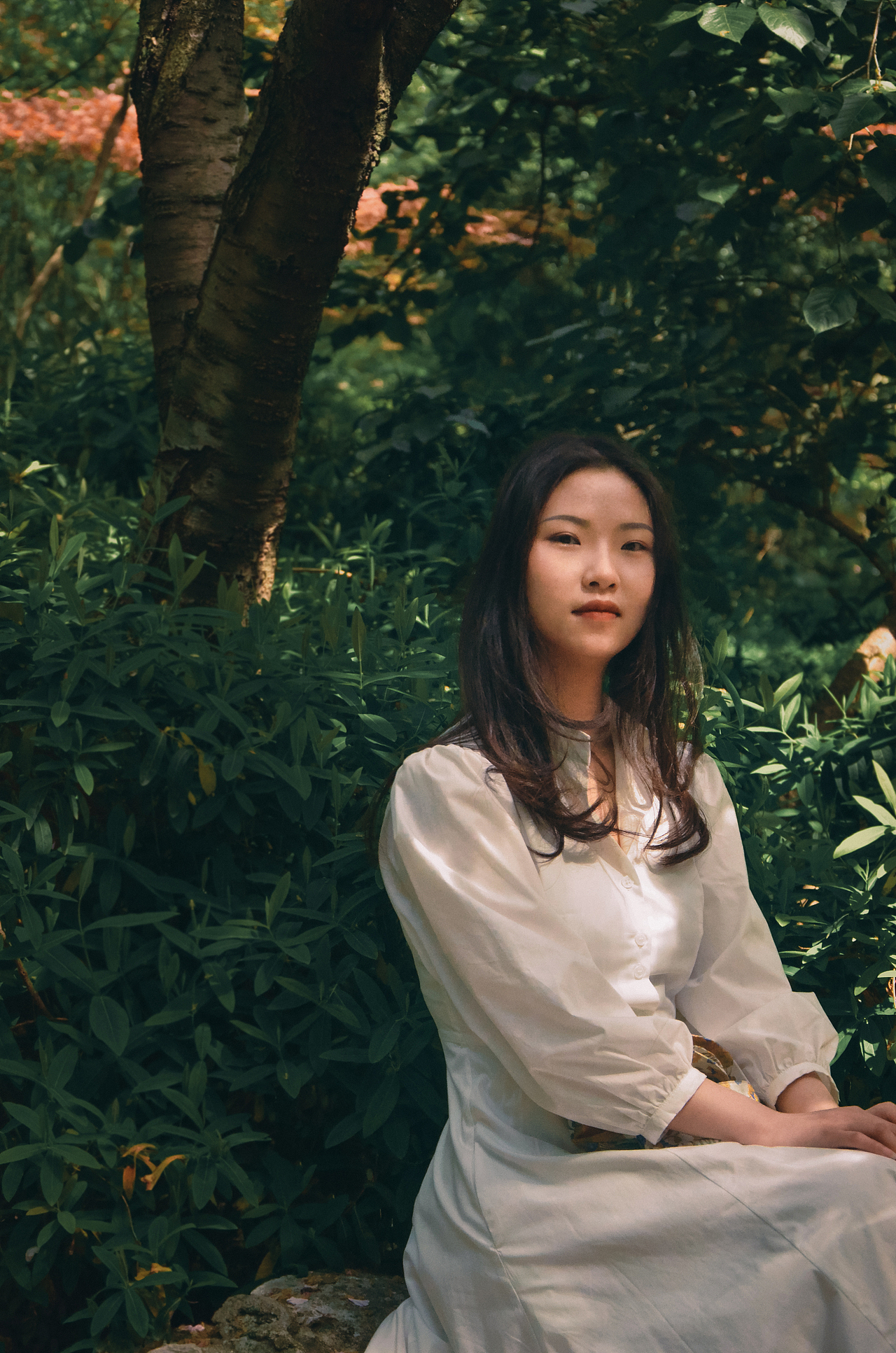 南有乔木（图ZMjUzMDg2MzIw） - 人像摄影 - 站酷设计师羊毛礦視物所原创素材 - 站酷ZCOOL