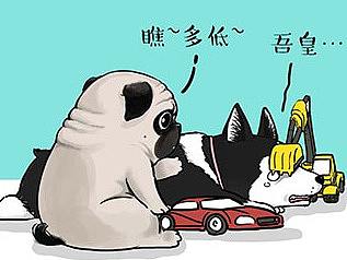 五年了，巴扎黑的智商终于上线了……