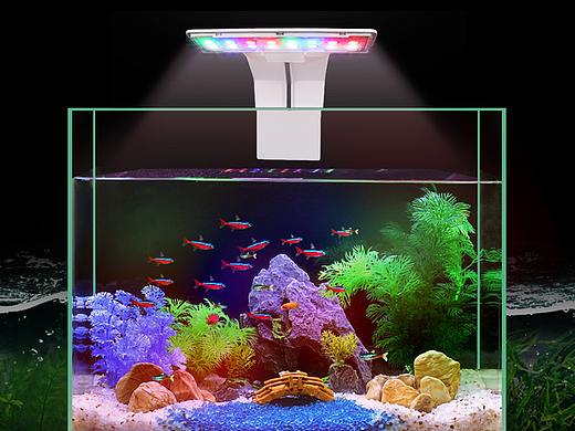 水族夹灯产品作品（含视频）（个人主页-ZNDQ1MzExNTI=） - 产品摄影 - 站酷设计师邓欣荣原创素材 - 站酷ZCOOL