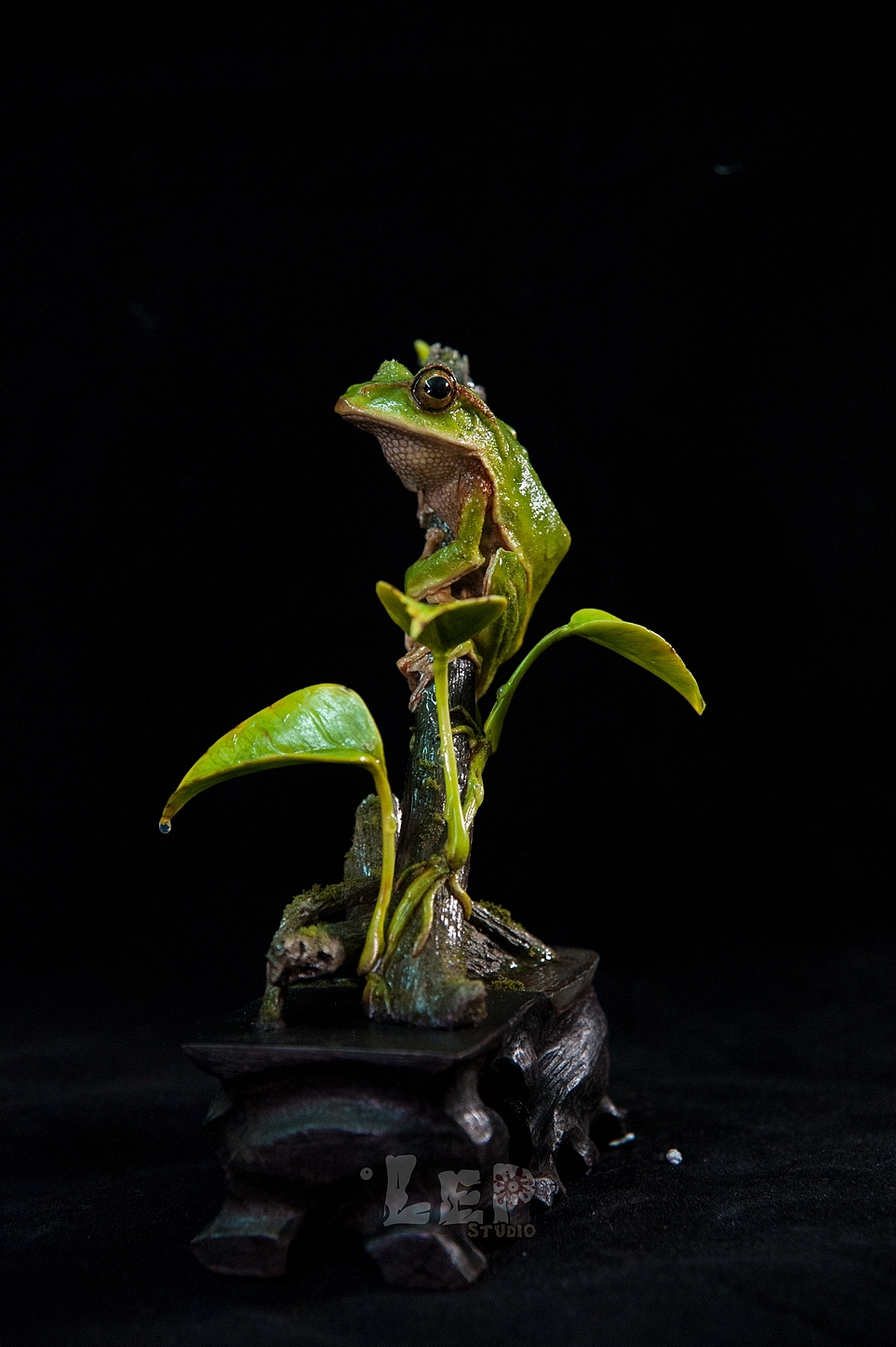 翡翠树蛙 涂装完成~~（图ZNjkyMzYzOTY=） - 手办/模玩 - 站酷设计师离谱哥哥原创素材 - 站酷ZCOOL