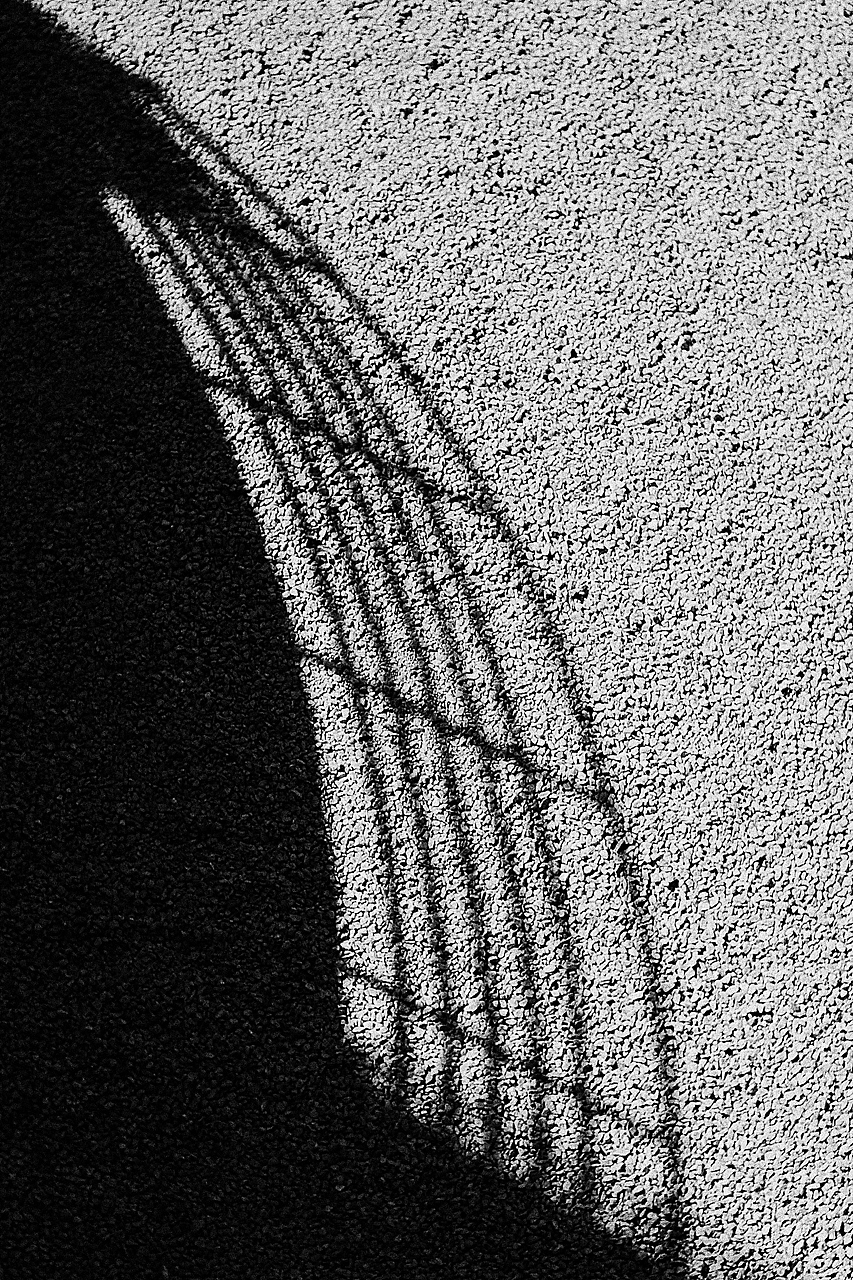 2014深圳香港城市建筑双年展