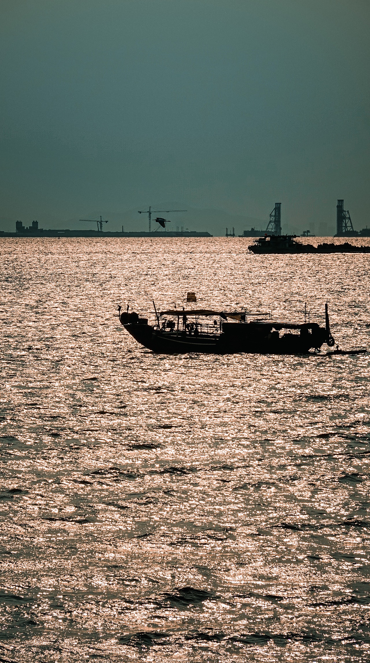 孤傲（图ZMTc2NDMyMDg4） - 人文/纪实摄影 - 站酷设计师拾光朝圣者原创素材 - 站酷ZCOOL