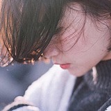 V蝶舞天涯的头像