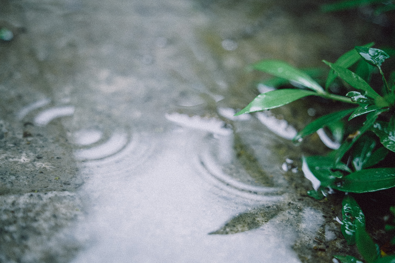 南方的梅雨（图ZMjE1MjkzNzEy） - 人文/纪实摄影 - 站酷设计师丶荧光乌贼原创素材 - 站酷ZCOOL