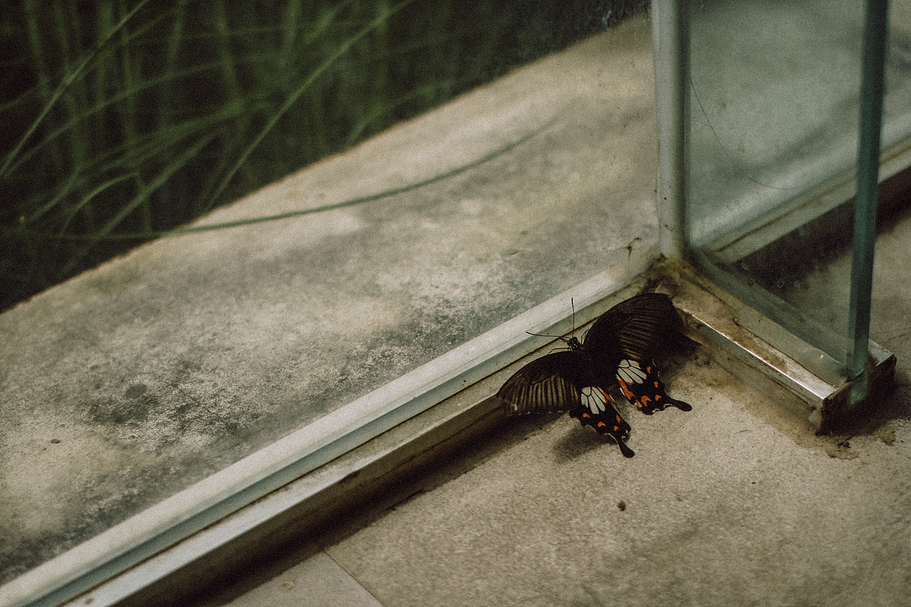 时·光轨迹— —清迈旅拍