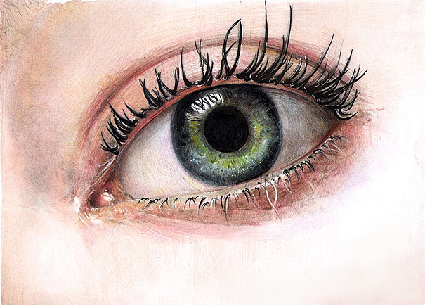 彩铅&圆珠笔画&圆珠笔3d画