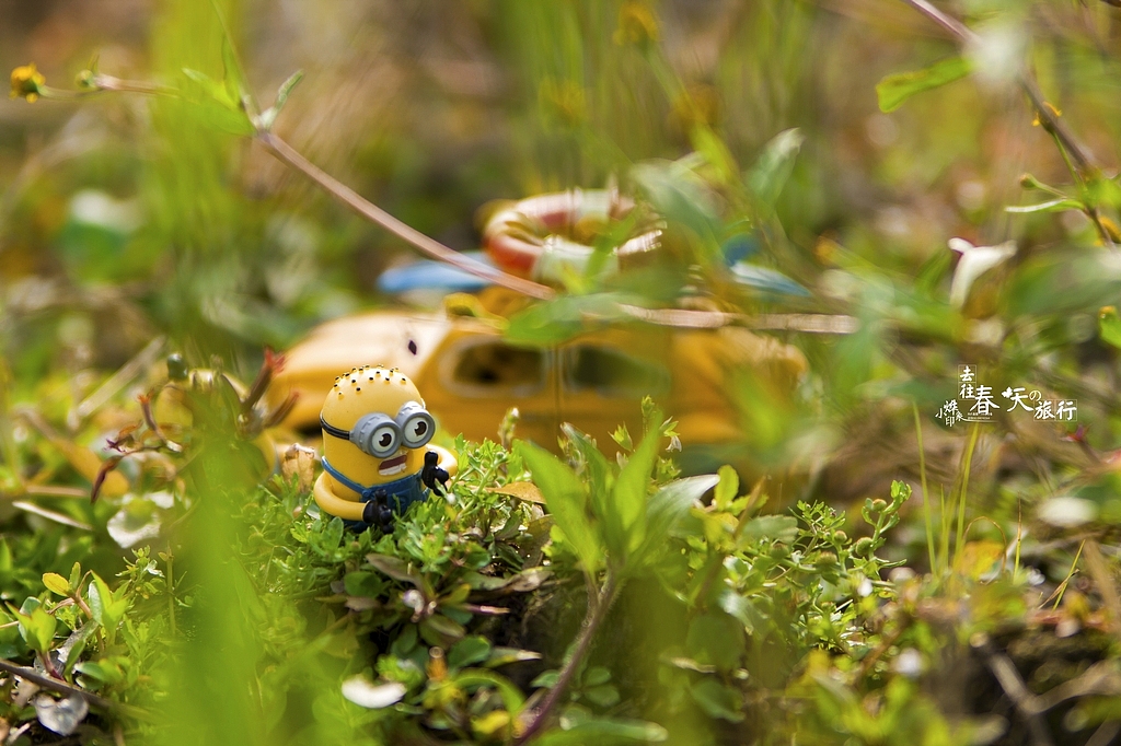 去往春天的旅行