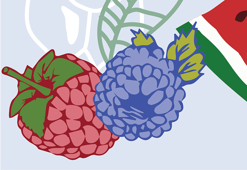 FRUIT TEA（图ZMTE3NTA3MjUy） - 创作习作 - 站酷设计师Am1丁原创素材 - 站酷ZCOOL