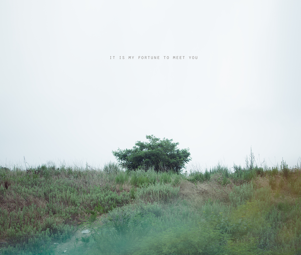 It is my fortune to meet you