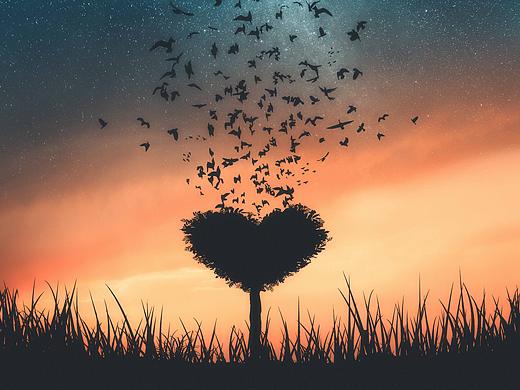 心之所向/Where The Heart Leads To