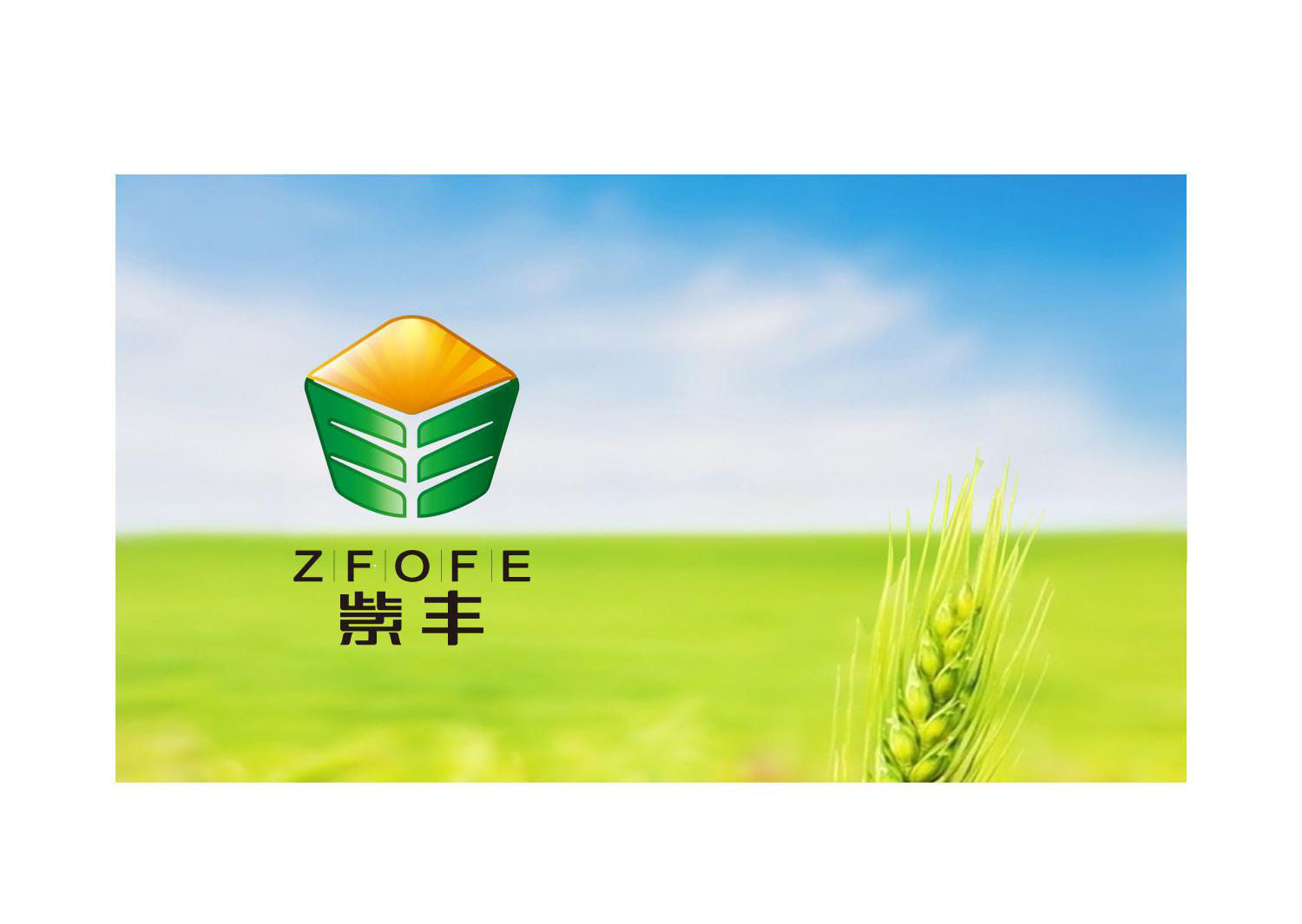 紫丰肥料标志,部分vi