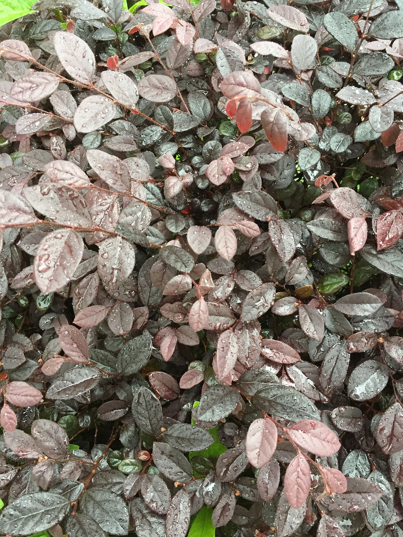 最美的不是下雨天