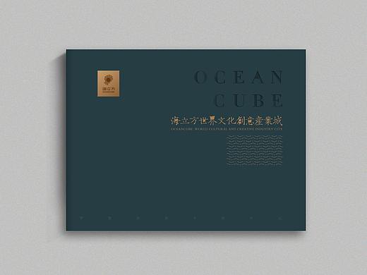书装 / 画册