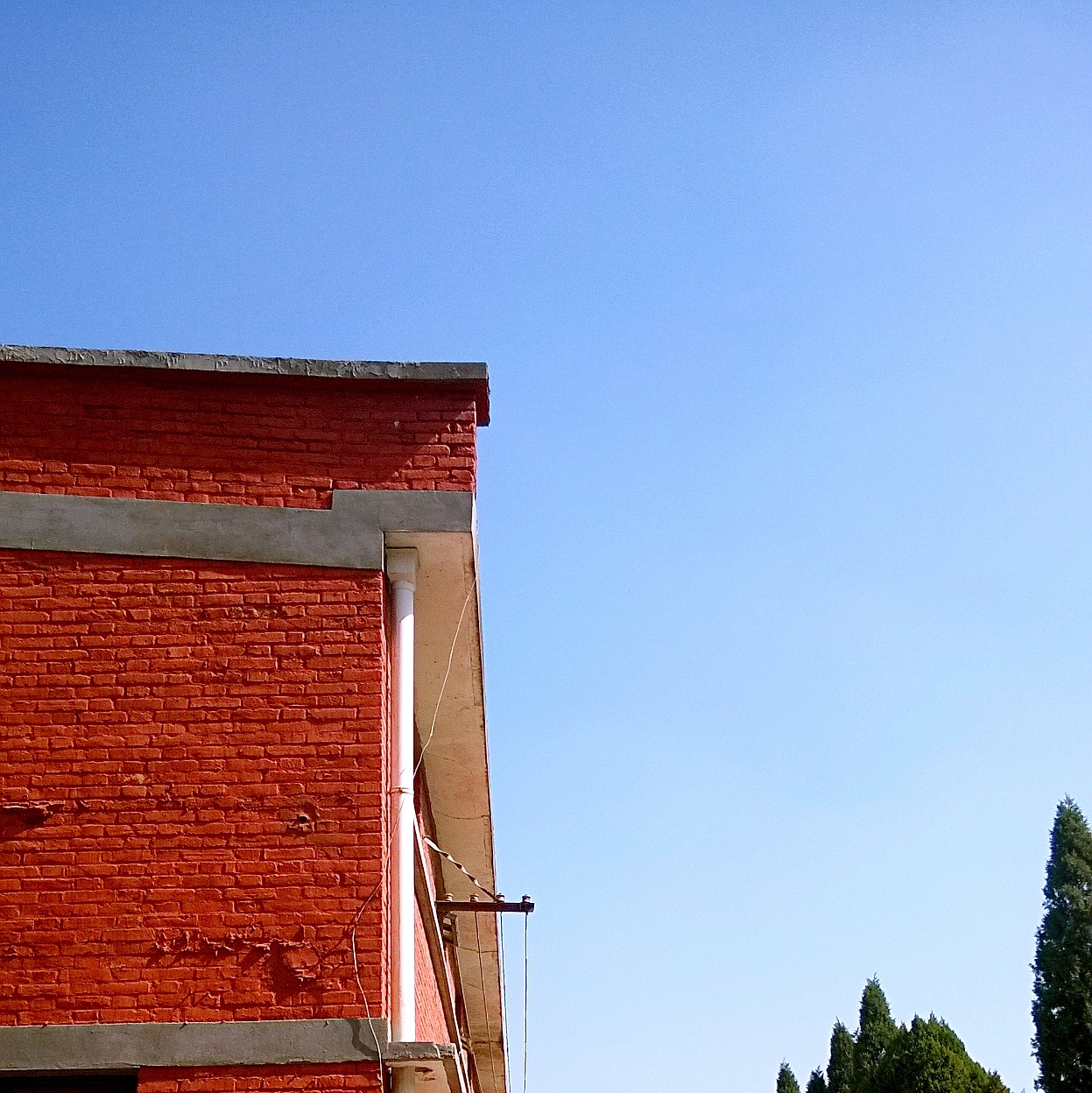 漫步在金秋的阳光下