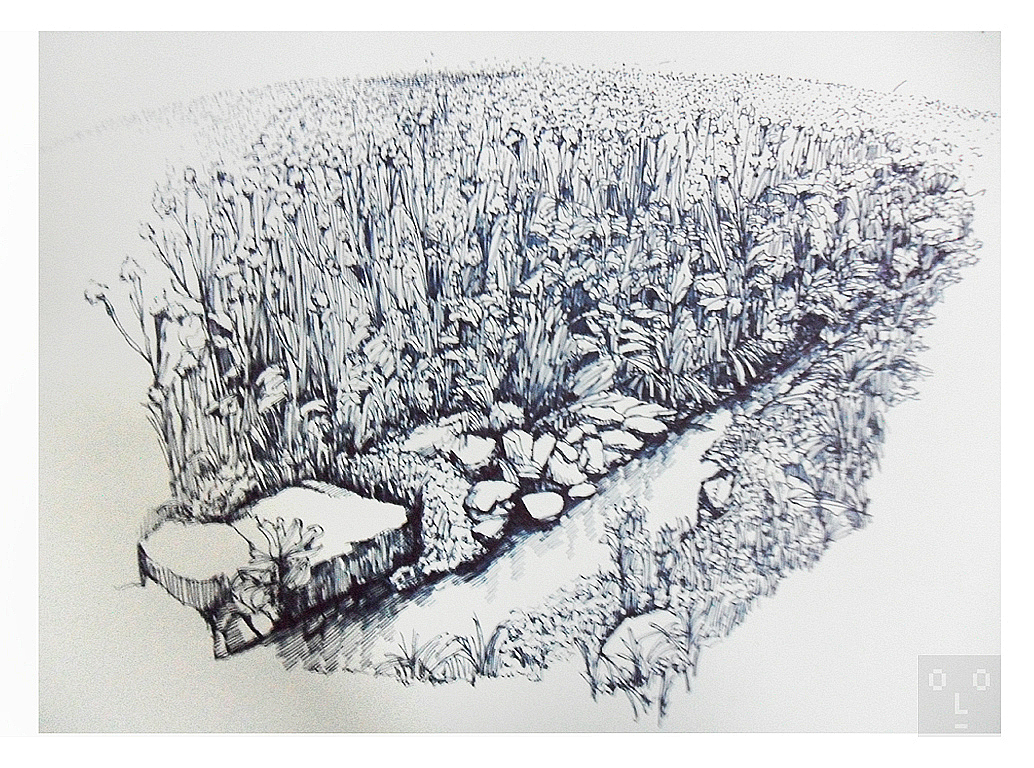 一片油菜花,一条小溪,还有偷偷站在背后看我画画的你.