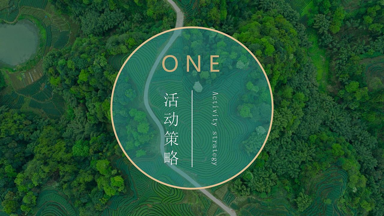 2021文旅项目春季(诗里田园春游记主题)活.