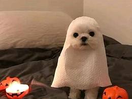 日練習(xí)～雪峰