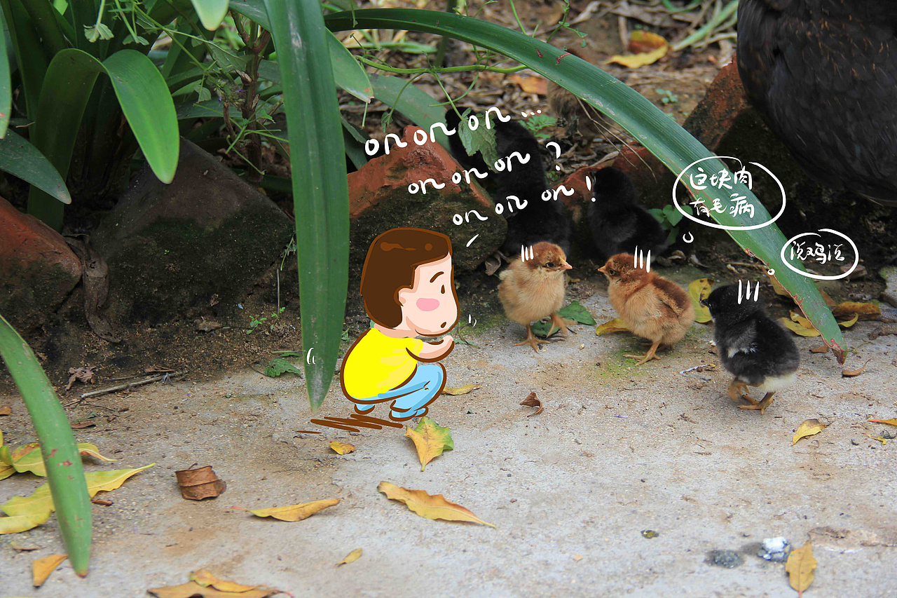 一只小鸡说：“这块肉肉有病啊！”
<br>另一只小鸡说：“是啊！竟然说鸡话！”<br><br>老家总有些萌宠，是城里不多见的。