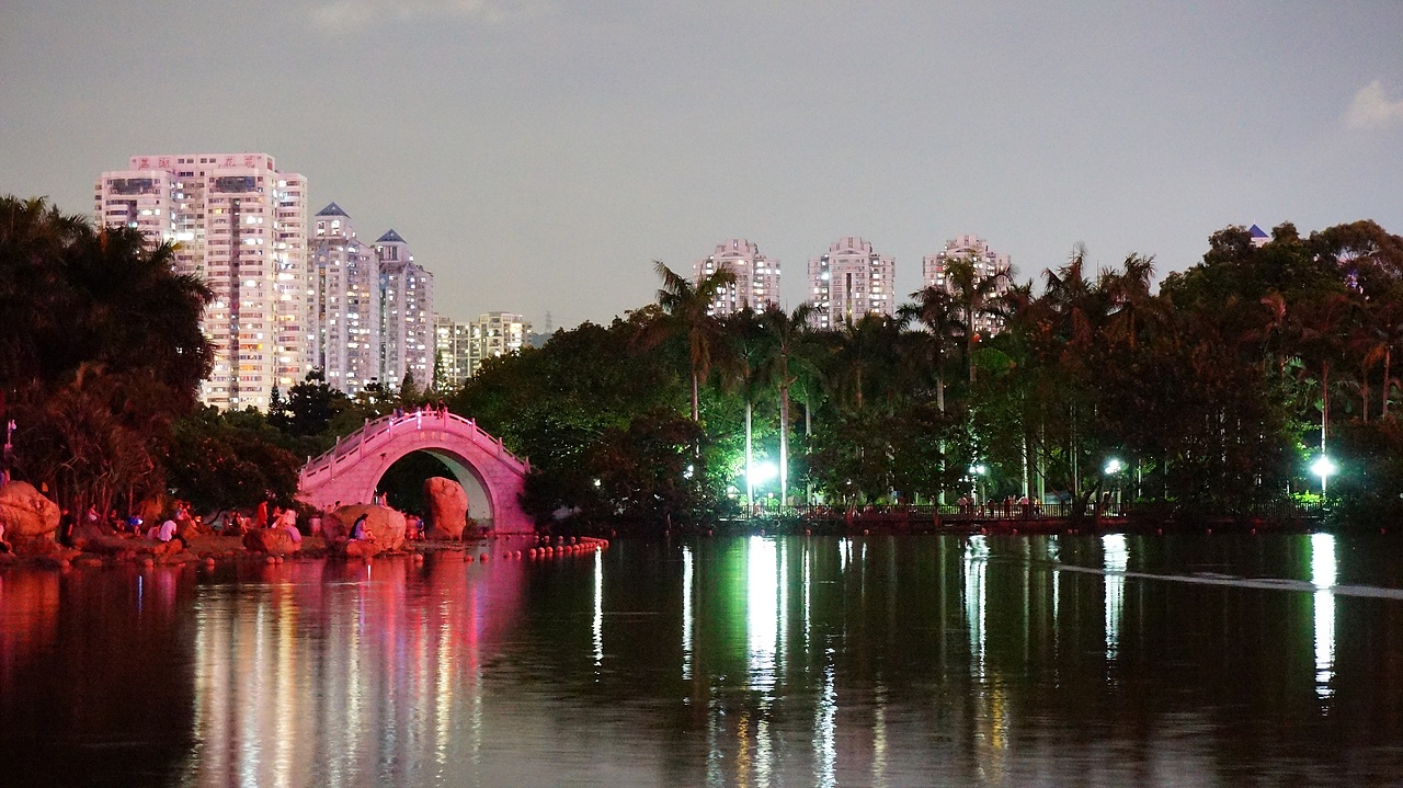 深圳荔枝公园夜景