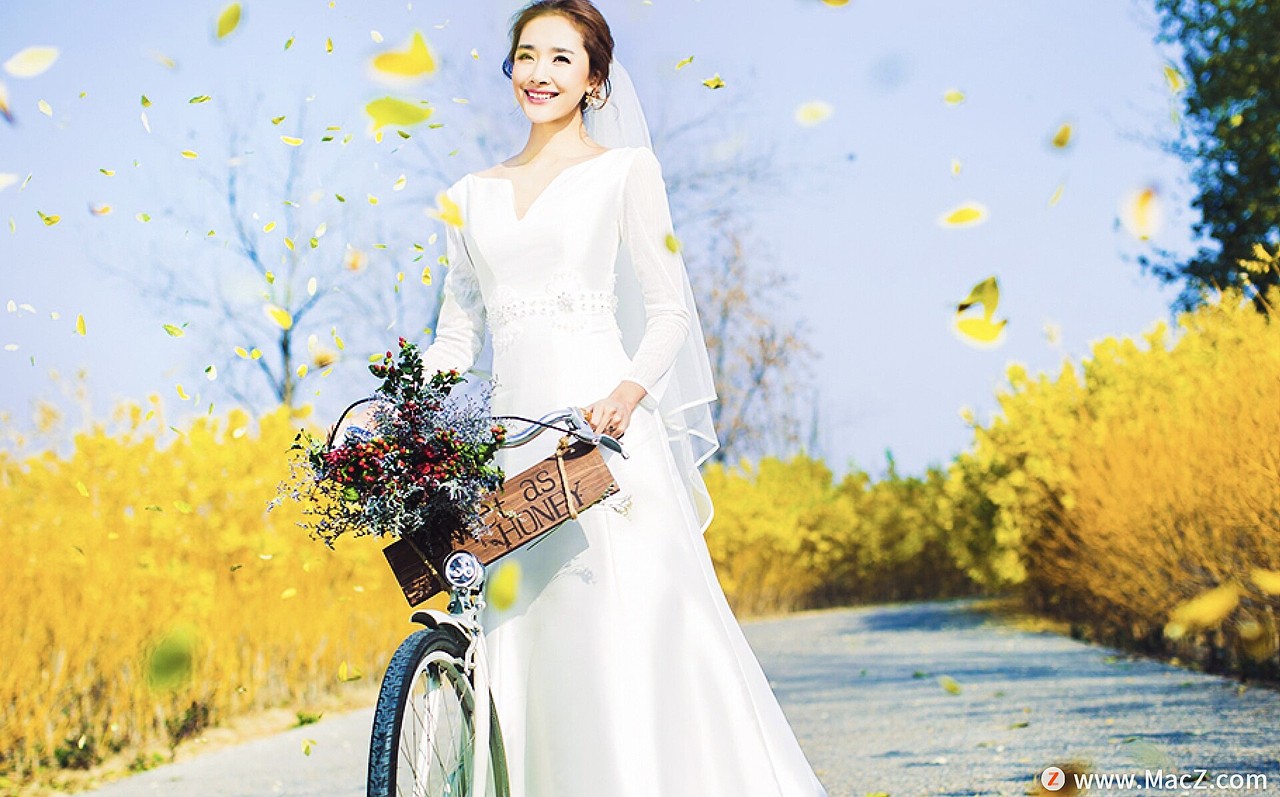 50种专业婚礼摄影调色效果luts预设