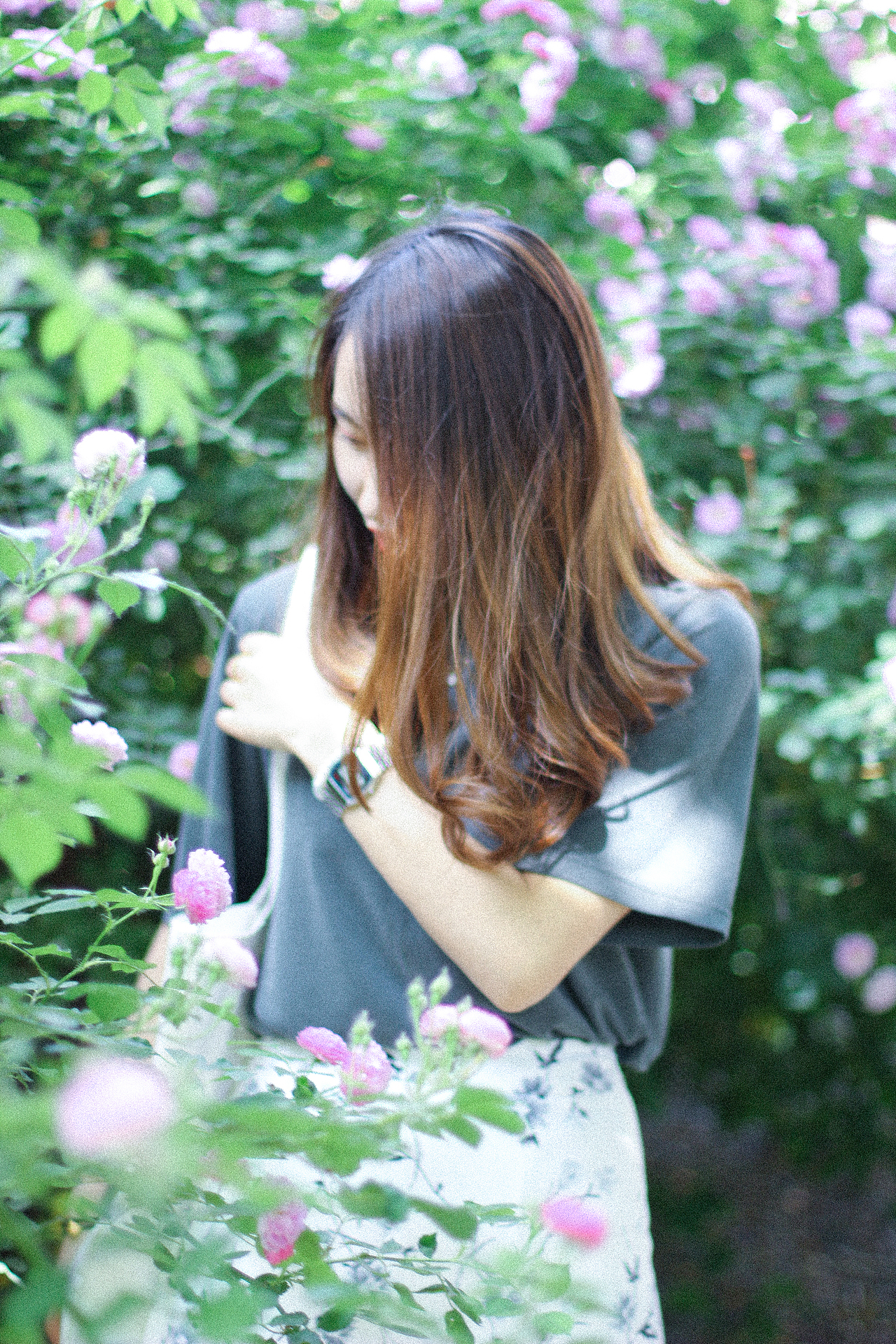 2018年5月份北京的蔷薇花和少女花花。