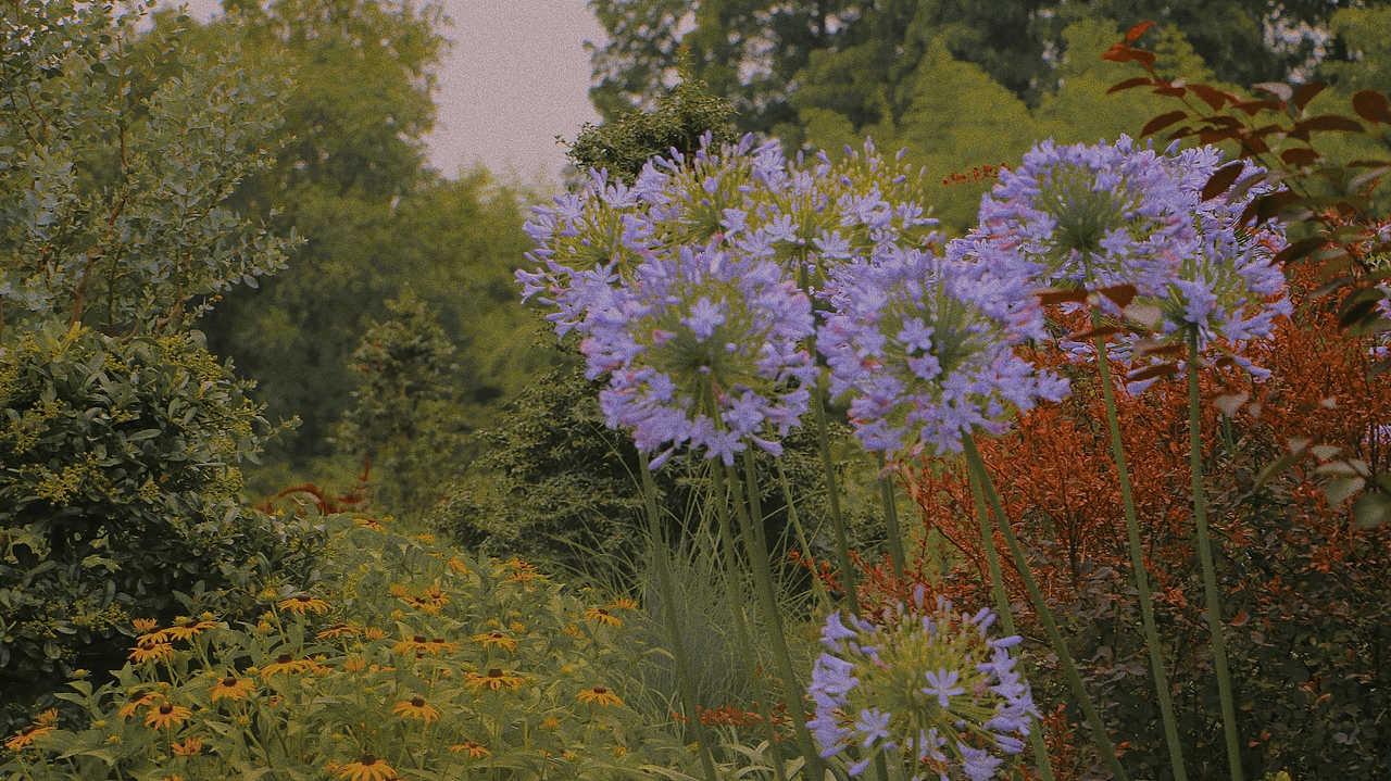 上海辰山植物园