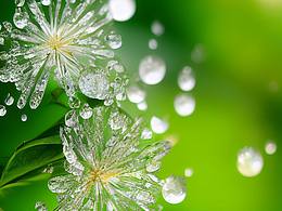 来吧，欢迎你的加入