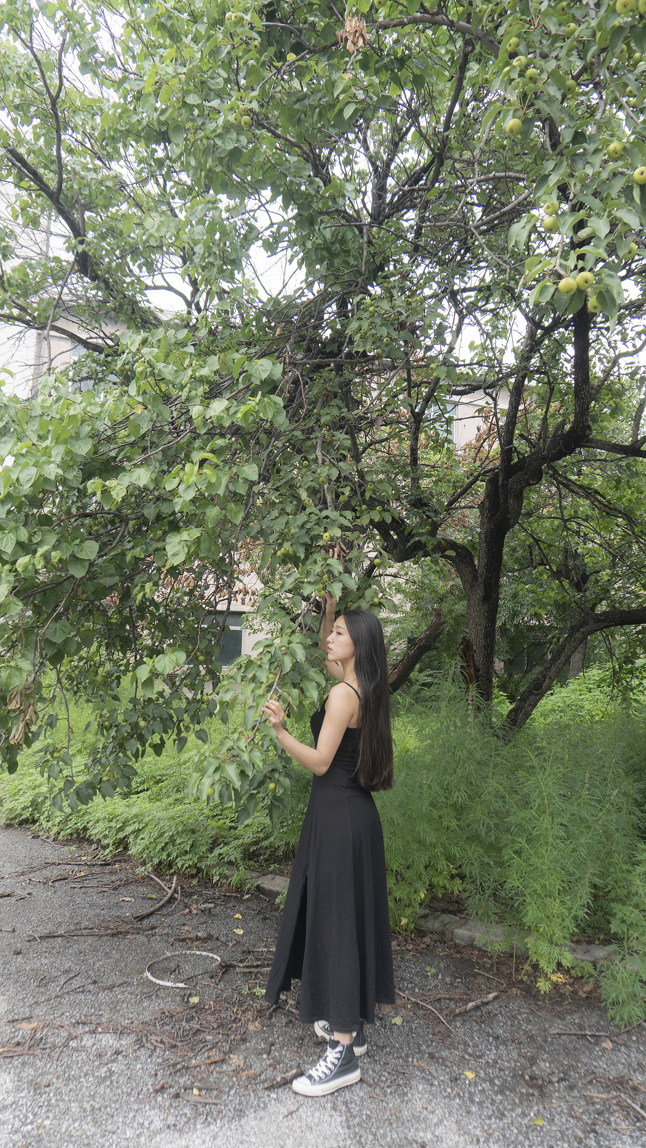 亲密爱人-肚皮舞MV-出境-关爽-视频-谷小松