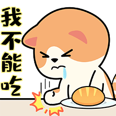 【微信表情包】甜品猫日常第三弹上线啦！！！（图ZMjg1MjQ0NDgw） - 网络表情 - 站酷设计师甜品猫日常原创素材 - 站酷ZCOOL
