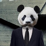 PandaMan熊猫人的头像